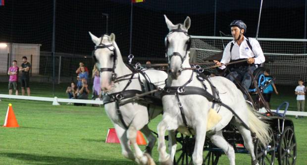 MEĐUNARODNI KONJIČKI TURNIR U PLETERNICI: Održana prva konjička noćna utrka u svijetu