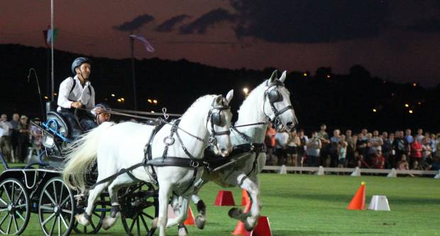 MEĐUNARODNI KONJIČKI TURNIR U PLETERNICI: Održana prva konjička noćna utrka u svijetu