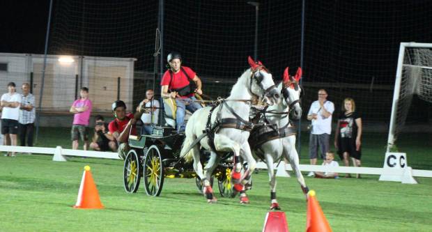 MEĐUNARODNI KONJIČKI TURNIR U PLETERNICI: Održana prva konjička noćna utrka u svijetu