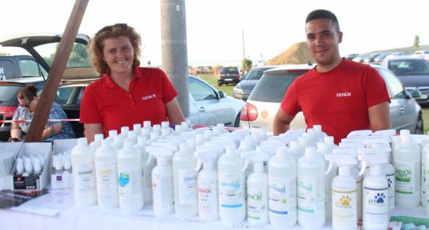 MEĐUNARODNI KONJIČKI TURNIR U PLETERNICI: Održana prva konjička noćna utrka u svijetu