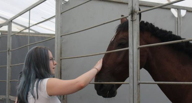 MEĐUNARODNI KONJIČKI TURNIR U PLETERNICI: Održana prva konjička noćna utrka u svijetu