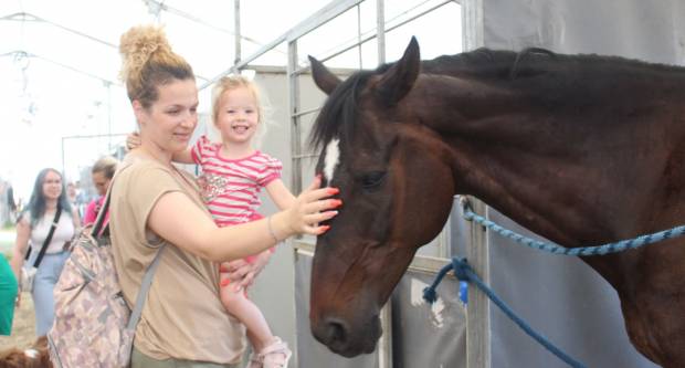 MEĐUNARODNI KONJIČKI TURNIR U PLETERNICI: Održana prva konjička noćna utrka u svijetu