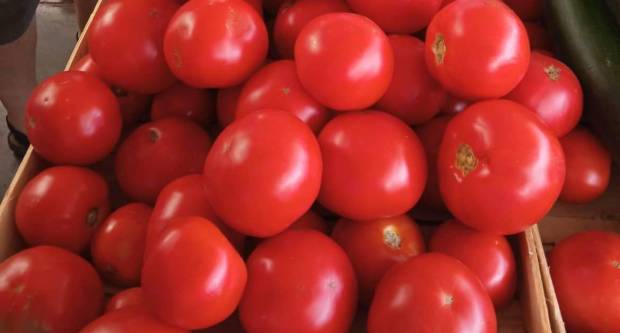 KRENULO SE S EUROM NA BRODSKOJ TRŽNICI: Evo koliko košta rajčica