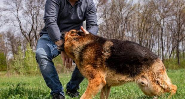 Još jedan napad psa na čovjeka u Slavonskom Brodu