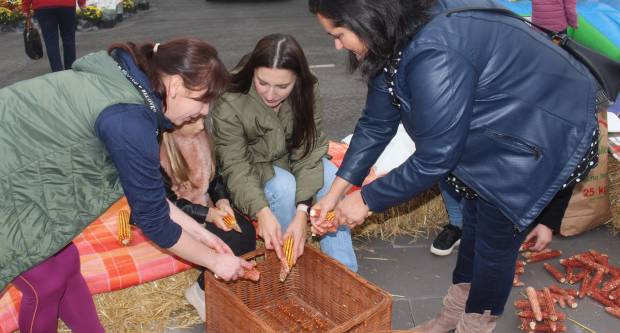 JESEN U PLETERNICI: Održan veliki Jesenski sajam i Kestenijada