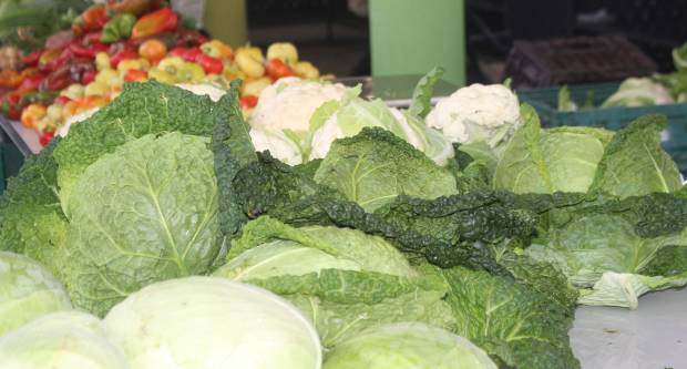 JESEN U PLETERNICI: Održan veliki Jesenski sajam i Kestenijada