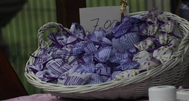 JESEN U PLETERNICI: Održan veliki Jesenski sajam i Kestenijada