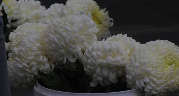 JESEN U PLETERNICI: Održan veliki Jesenski sajam i Kestenijada