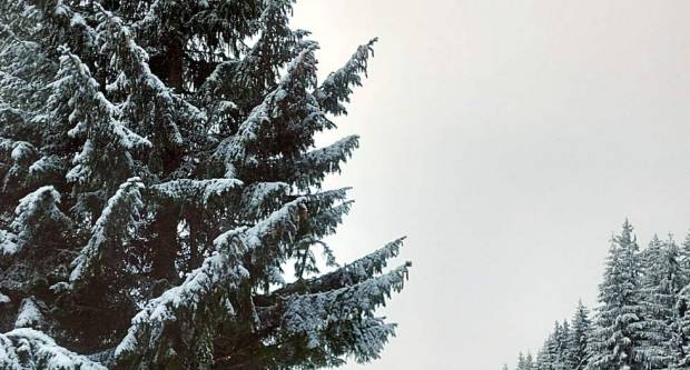 FOTOGALERIJA: HPD ʺGojzericaʺ Požega na zimskom usponu - Vlašić BiH