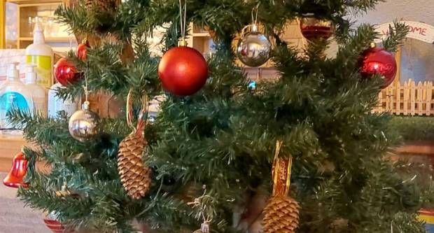 FOTOGALERIJA: HPD ʺGojzericaʺ Požega na zimskom usponu - Vlašić BiH