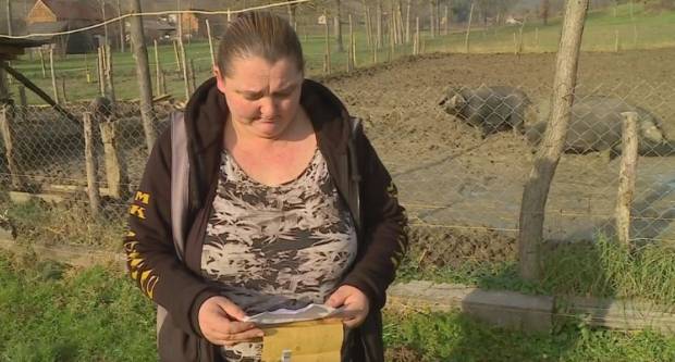 NEVJEROVATNO: Uzgajivačica svinja iz Starog Petrovog Sela dobila kaznu jer je uzgajala svinje na otovorenom