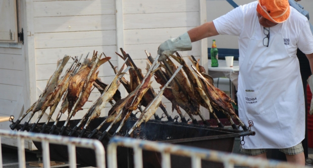 FOTOGALERIJA: Fišijada 2023. u Pleternici