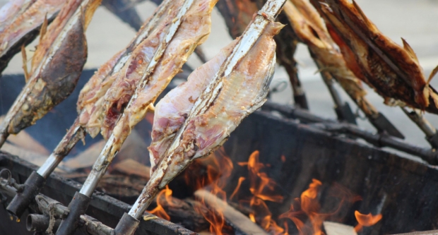 FOTOGALERIJA: Fišijada 2023. u Pleternici