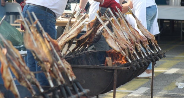FOTOGALERIJA: Fišijada 2023. u Pleternici