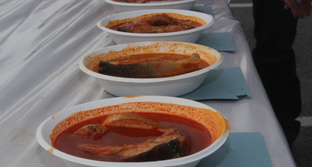 FOTOGALERIJA: Fišijada 2023. u Pleternici