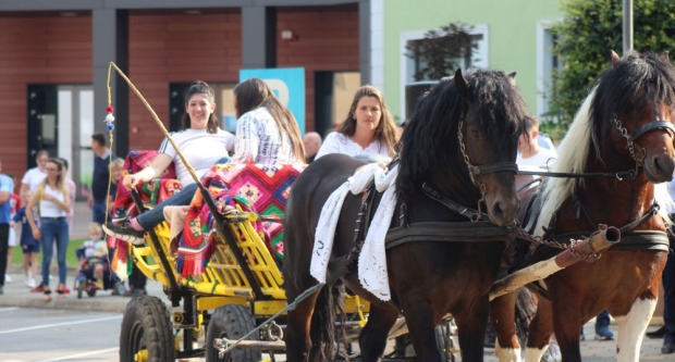 ODRŽANA 40. MEĐUNARODNA SMOTRA FOLKLORA LIDAS: Pleterničke ulice ponovno su bile preplavljene narodnim nošnjama