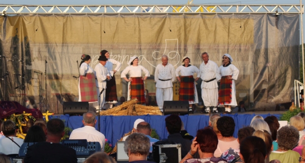 ODRŽANA 40. MEĐUNARODNA SMOTRA FOLKLORA LIDAS: Pleterničke ulice ponovno su bile preplavljene narodnim nošnjama