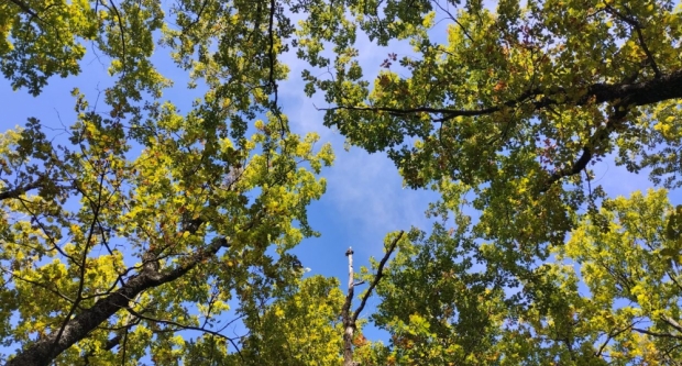 FOTO: Školovanje Čuvara planinarske prirode HPS-a - HPD Gojzerica Požega