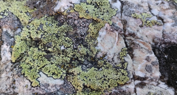 FOTO: Školovanje Čuvara planinarske prirode HPS-a - HPD Gojzerica Požega