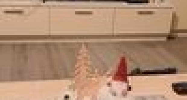 Druga fotogalerija adventskih vijenaca naših čitateljica i čitatelja