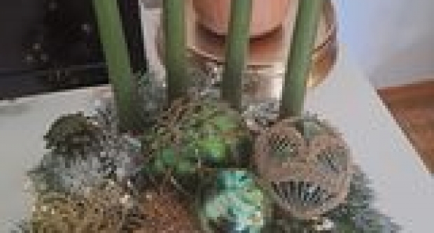 Druga fotogalerija adventskih vijenaca naših čitateljica i čitatelja