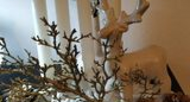 Druga fotogalerija adventskih vijenaca naših čitateljica i čitatelja