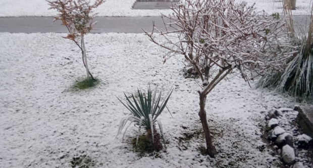 VAŠE FOTOGRAFIJE: Slavonija prekrivena bijelim pokrivačem