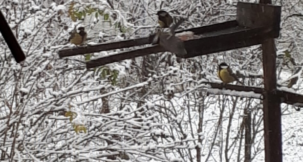 VAŠE FOTOGRAFIJE: Slavonija prekrivena bijelim pokrivačem
