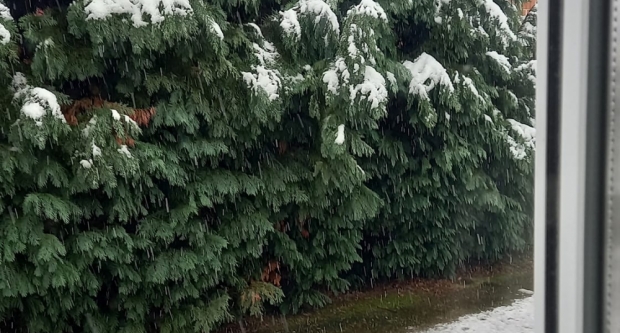VAŠE FOTOGRAFIJE: Slavonija prekrivena bijelim pokrivačem