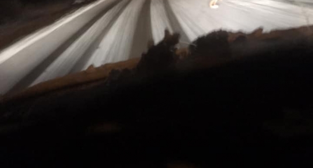 VAŠE FOTOGRAFIJE: Slavonija prekrivena bijelim pokrivačem