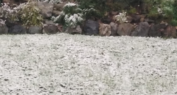 VAŠE FOTOGRAFIJE: Slavonija prekrivena bijelim pokrivačem