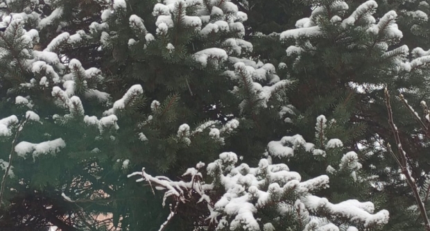 VAŠE FOTOGRAFIJE: Slavonija prekrivena bijelim pokrivačem