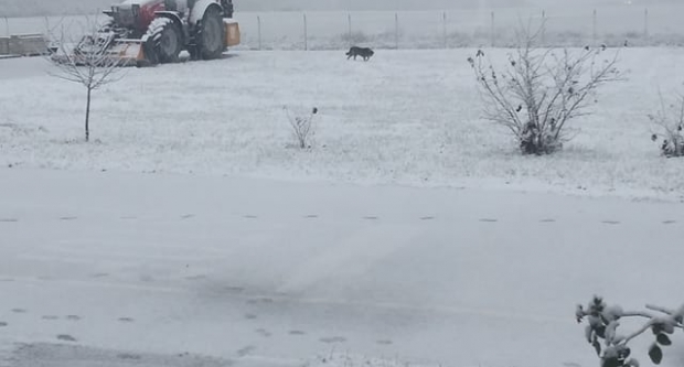 VAŠE FOTOGRAFIJE: Slavonija prekrivena bijelim pokrivačem