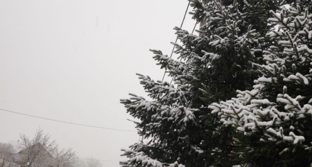 VAŠE FOTOGRAFIJE: Slavonija prekrivena bijelim pokrivačem