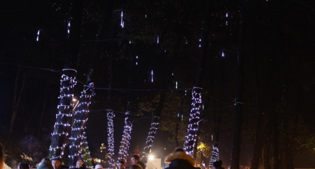 FOTOGALERIJA: ’Ninina čarobna shhhuma’ u Velikoj jedno je od najdivnijih mjesta u Slavoniji