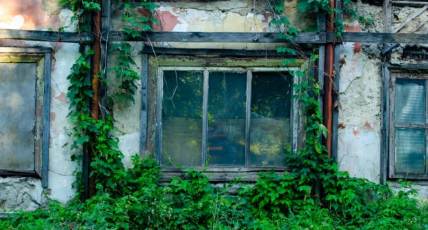 Slavonca sud proglasio krivim jer je dopustio da mu okućnica zaraste u visoku travu