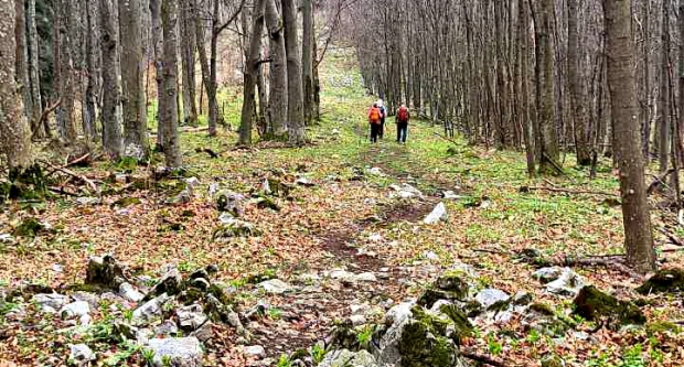 FOTO: Najvišim vrhovima Papuka - PD Kablar Čačak
