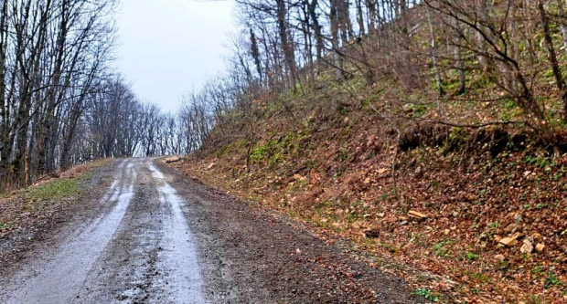 FOTO: Najvišim vrhovima Papuka - PD Kablar Čačak