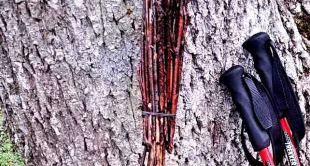 FOTO: Najvišim vrhovima Papuka - PD Kablar Čačak