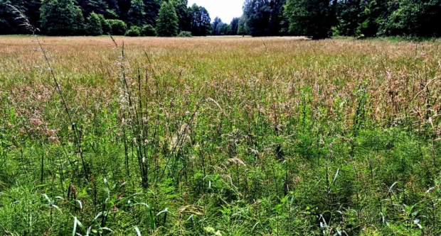 FOTO: Dani hrvatskih planinara na Bilogori