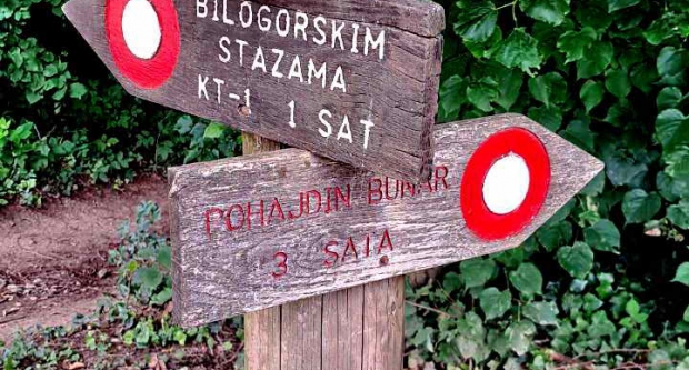 FOTO: Dani hrvatskih planinara na Bilogori