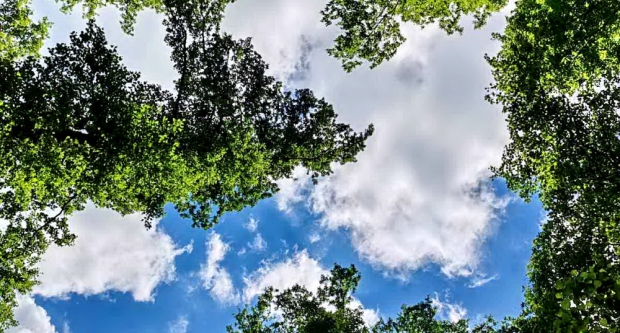 Planinari HPD Gojzerica Dan državnosti proveli na Krndiji