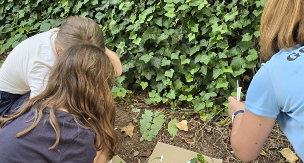 Potraga za blagom HPD Gojzerice