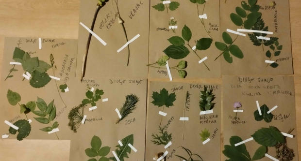 Potraga za blagom HPD Gojzerice