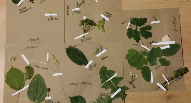 Potraga za blagom HPD Gojzerice