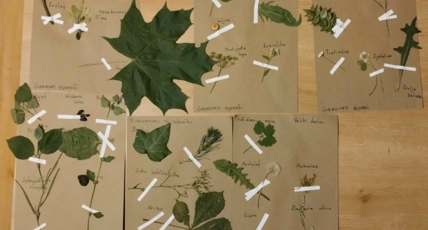 Potraga za blagom HPD Gojzerice