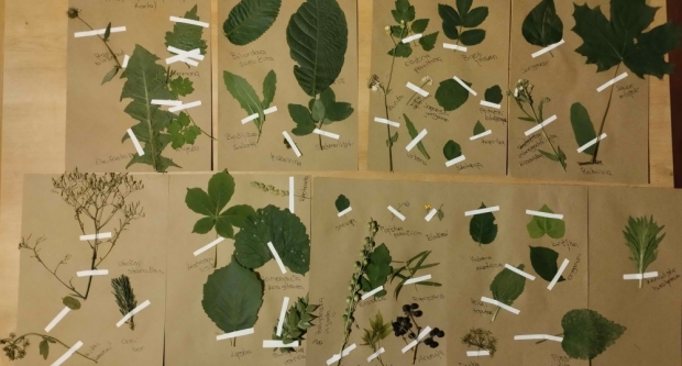 Potraga za blagom HPD Gojzerice