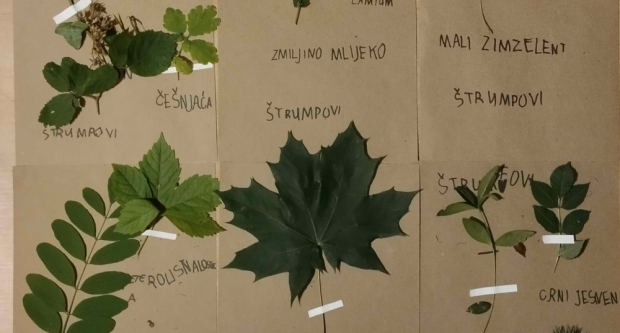 Potraga za blagom HPD Gojzerice