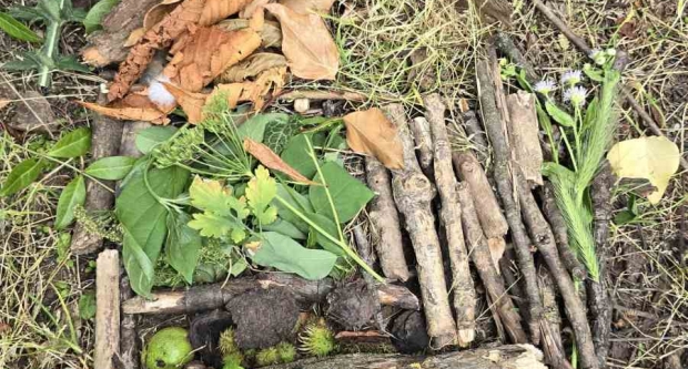 Potraga za blagom HPD Gojzerice