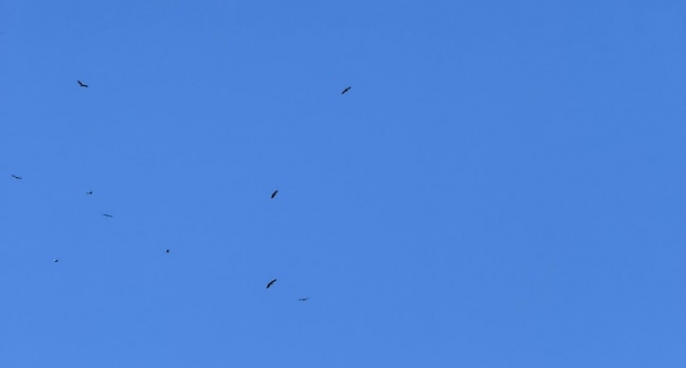 FOTO: Planinari HPD Gojzerice proveli tri dana na Kvarneru